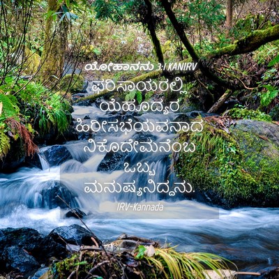 Picture 04 - ಯೋಹಾನನು 3:1 KANIRV - ಫರಿಸಾಯರಲ್ಲಿ - Bible Verse Picture