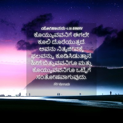 Picture 04 - ಯೋಹಾನನು 4:36 KANIRV - ಕೊಯ್ಯುವವನಿಗೆ ಈಗಲೇ - Bible Verse Picture