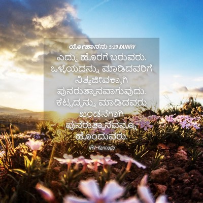 Picture 04 - ಯೋಹಾನನು 5:29 KANIRV - ಎದ್ದು ಹೊರಗೆ - Bible Verse Picture