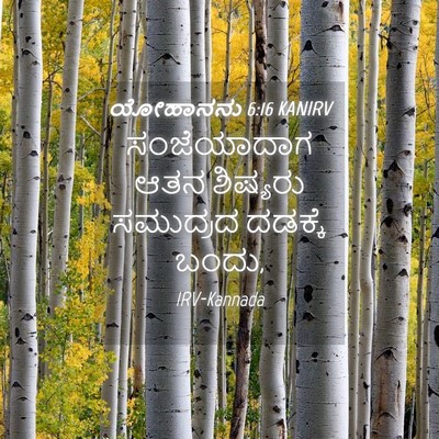 Picture 04 - ಯೋಹಾನನು 6:16 KANIRV - ಸಂಜೆಯಾದಾಗ ಆತನ - Bible Verse Picture