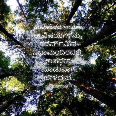 Picture 04 - ಯೋಹಾನನು 6:59 KANIRV - ಈ ವಿಷಯಗಳನ್ನು - Bible Verse Picture