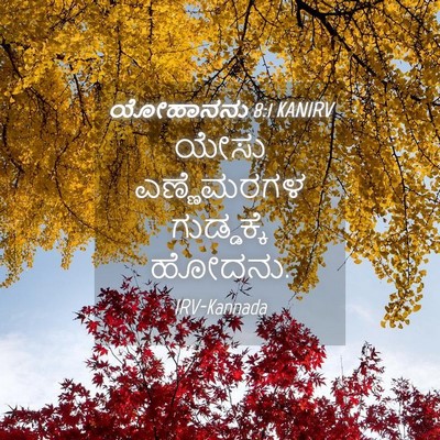 Picture 04 - ಯೋಹಾನನು 8:1 KANIRV - ಯೇಸು ಎಣ್ಣೆಮರಗಳ - Bible Verse Picture
