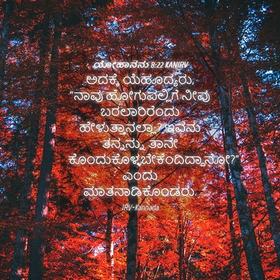 Picture 04 - ಯೋಹಾನನು 8:22 KANIRV - ಅದಕ್ಕೆ ಯೆಹೂದ್ಯರು, - Bible Verse Picture