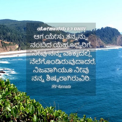Picture 04 - ಯೋಹಾನನು 8:31 KANIRV - ಆಗ ಯೇಸು ತನ್ನನ್ನು - Bible Verse Picture
