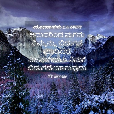 Picture 04 - ಯೋಹಾನನು 8:36 KANIRV - ಆದುದರಿಂದ ಮಗನು - Bible Verse Picture