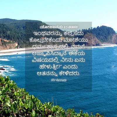 Picture 04 - ಯೋಹಾನನು 8:5 KANIRV - ಇಂಥವರನ್ನು - Bible Verse Picture