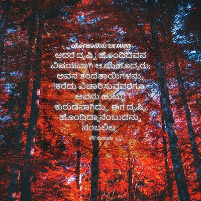 Picture 04 - ಯೋಹಾನನು 9:18 KANIRV - ಆದರೆ ದೃಷ್ಟಿ - Bible Verse Picture