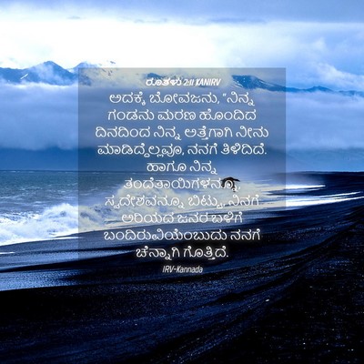 Picture 04 - ರೂತಳು 2:11 KANIRV - ಅದಕ್ಕೆ ಬೋವಜನು, - Bible Verse Picture