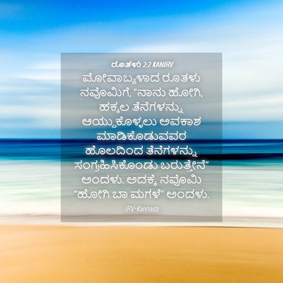 Picture 04 - ರೂತಳು 2:2 KANIRV - ಮೋವಾಬ್ಯಳಾದ ರೂತಳು - Bible Verse Picture