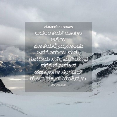 Picture 04 - ರೂತಳು 2:23 KANIRV - ಅದರಂತೆಯೇ ರೂತಳು - Bible Verse Picture