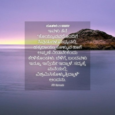 Picture 04 - ರೂತಳು 2:7 KANIRV - ಇವಳು ತೆನೆ - Bible Verse Picture