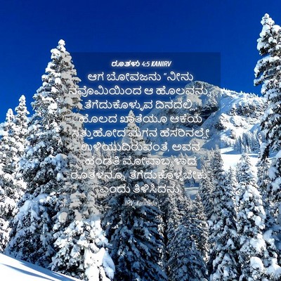 Picture 04 - ರೂತಳು 4:5 KANIRV - ಆಗ ಬೋವಜನು “ನೀನು - Bible Verse Picture