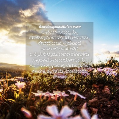 Picture 04 - ರೋಮಾಪುರದವರಿಗೆ 1:26 KANIRV - ಅವರು ಇಂಥದ್ದನ್ನು - Bible Verse Picture