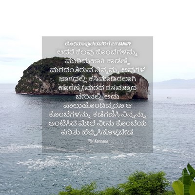 Picture 04 - ರೋಮಾಪುರದವರಿಗೆ 11:17 KANIRV - ಆದರೆ ಕೆಲವು - Bible Verse Picture