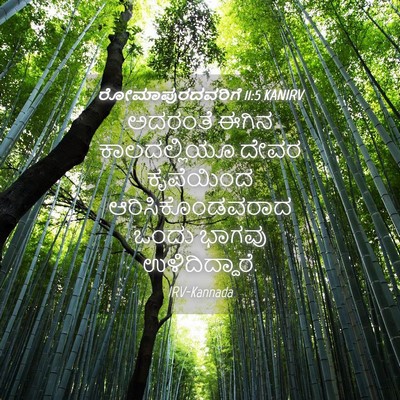 Picture 04 - ರೋಮಾಪುರದವರಿಗೆ 11:5 KANIRV - ಅದರಂತೆ ಈಗಿನ - Bible Verse Picture