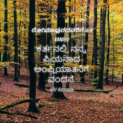 Picture 04 - ರೋಮಾಪುರದವರಿಗೆ 16:8 KANIRV - ಕರ್ತನಲ್ಲಿ ನನ್ನ - Bible Verse Picture