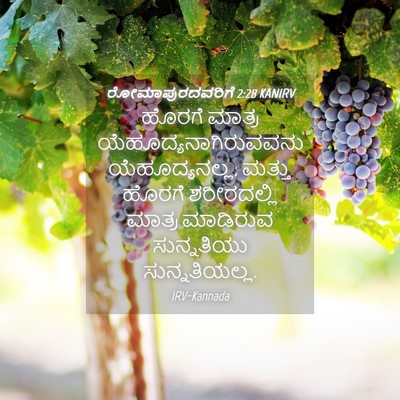 Picture 04 - ರೋಮಾಪುರದವರಿಗೆ 2:28 KANIRV - ಹೊರಗೆ ಮಾತ್ರ - Bible Verse Picture