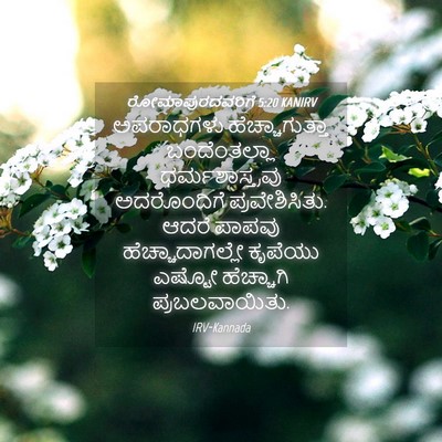 Picture 04 - ರೋಮಾಪುರದವರಿಗೆ 5:20 KANIRV - ಅಪರಾಧಗಳು - Bible Verse Picture