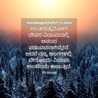 Picture 04 - ರೋಮಾಪುರದವರಿಗೆ 7:22 KANIRV - ಅಂತರಾತ್ಮದೊಳಗೆ - Bible Verse Picture