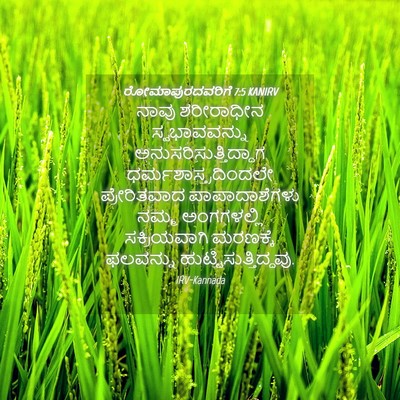 Picture 04 - ರೋಮಾಪುರದವರಿಗೆ 7:5 KANIRV - ನಾವು ಶರೀರಾಧೀನ - Bible Verse Picture