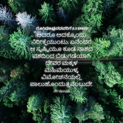 Picture 04 - ರೋಮಾಪುರದವರಿಗೆ 8:21 KANIRV - ಆದರೂ ಅದಕ್ಕೊಂದು - Bible Verse Picture