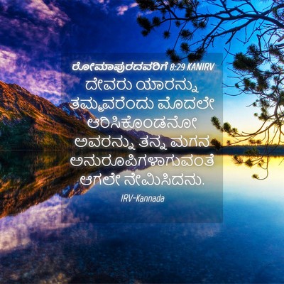 Picture 04 - ರೋಮಾಪುರದವರಿಗೆ 8:29 KANIRV - ದೇವರು ಯಾರನ್ನು - Bible Verse Picture