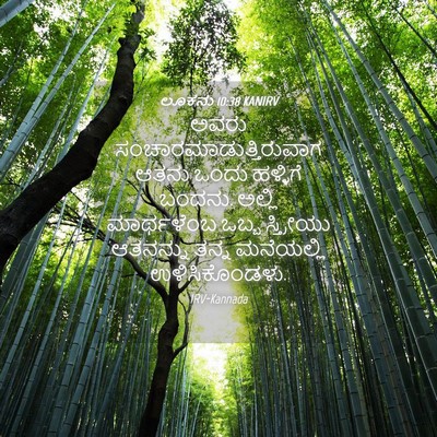 Picture 04 - ಲೂಕನು 10:38 KANIRV - ಅವರು - Bible Verse Picture