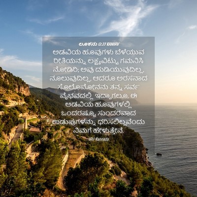 Picture 04 - ಲೂಕನು 12:27 KANIRV - ಅಡವಿಯ ಹೂವುಗಳು - Bible Verse Picture