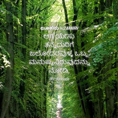 Picture 04 - ಲೂಕನು 14:2 KANIRV - ಆಗ ಯೇಸು - Bible Verse Picture