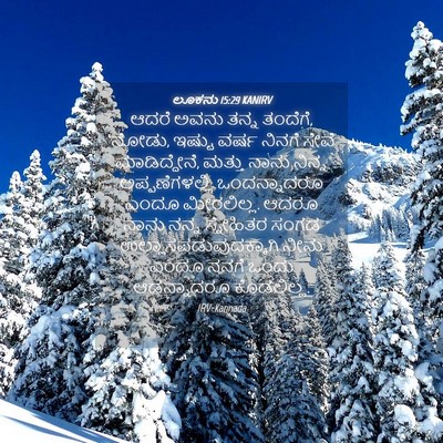 Picture 04 - ಲೂಕನು 15:29 KANIRV - ಆದರೆ ಅವನು ತನ್ನ - Bible Verse Picture