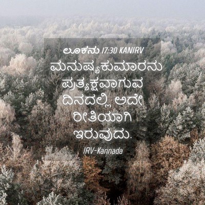 Picture 04 - ಲೂಕನು 17:30 KANIRV - ಮನುಷ್ಯಕುಮಾರನು - Bible Verse Picture