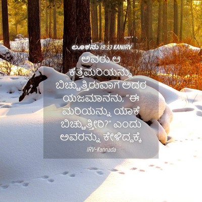 Picture 04 - ಲೂಕನು 19:33 KANIRV - ಅವರು ಆ - Bible Verse Picture