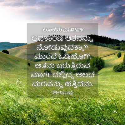Picture 04 - ಲೂಕನು 19:4 KANIRV - ಆದಕಾರಣ ಆತನನ್ನು - Bible Verse Picture