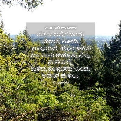Picture 04 - ಲೂಕನು 19:5 KANIRV - ಯೇಸು ಅಲ್ಲಿಗೆ ಬಂದು - Bible Verse Picture
