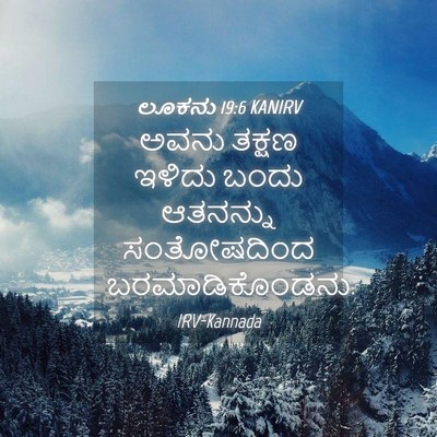 Picture 04 - ಲೂಕನು 19:6 KANIRV - ಅವನು ತಕ್ಷಣ ಇಳಿದು - Bible Verse Picture