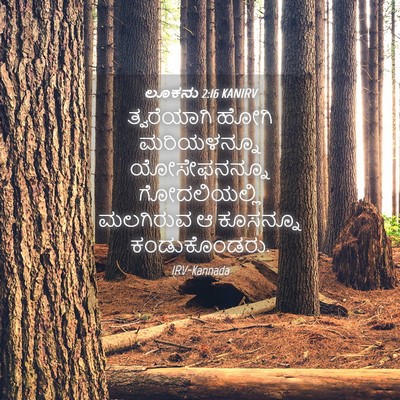 Picture 04 - ಲೂಕನು 2:16 KANIRV - ತ್ವರೆಯಾಗಿ ಹೋಗಿ - Bible Verse Picture