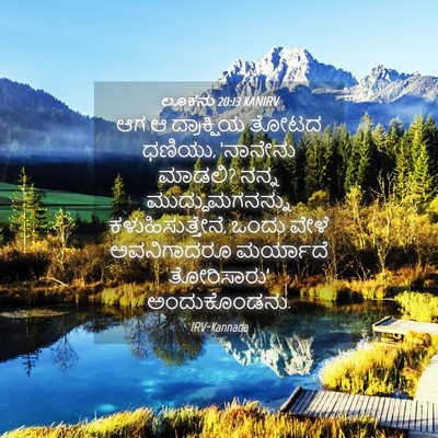 Picture 04 - ಲೂಕನು 20:13 KANIRV - ಆಗ ಆ ದ್ರಾಕ್ಷಿಯ - Bible Verse Picture