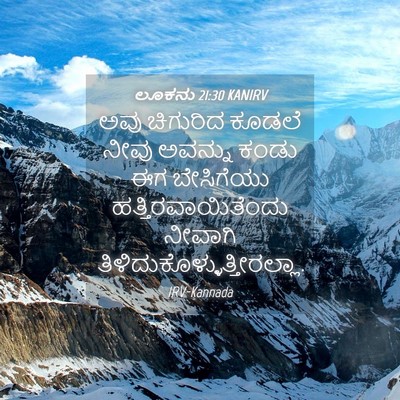 Picture 04 - ಲೂಕನು 21:30 KANIRV - ಅವು ಚಿಗುರಿದ ಕೂಡಲೆ - Bible Verse Picture