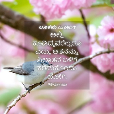 Picture 04 - ಲೂಕನು 23:1 KANIRV - ಅಲ್ಲಿ - Bible Verse Picture