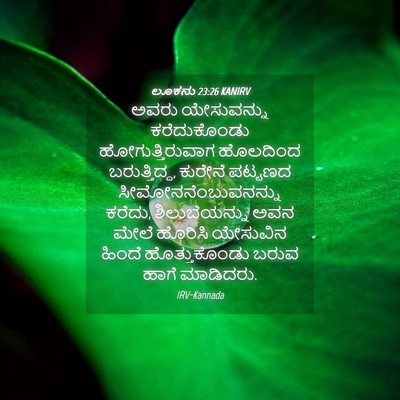 Picture 04 - ಲೂಕನು 23:26 KANIRV - ಅವರು ಯೇಸುವನ್ನು - Bible Verse Picture