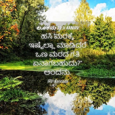 Picture 04 - ಲೂಕನು 23:31 KANIRV - ಹಸಿ ಮರಕ್ಕೆ - Bible Verse Picture