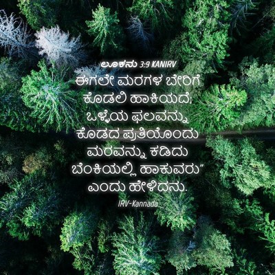 Picture 04 - ಲೂಕನು 3:9 KANIRV - ಈಗಲೇ ಮರಗಳ ಬೇರಿಗೆ - Bible Verse Picture