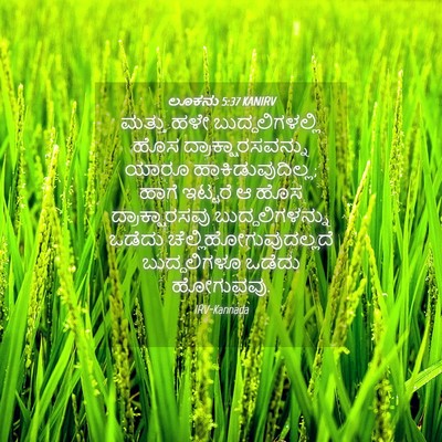 Picture 04 - ಲೂಕನು 5:37 KANIRV - ಮತ್ತು ಹಳೇ - Bible Verse Picture