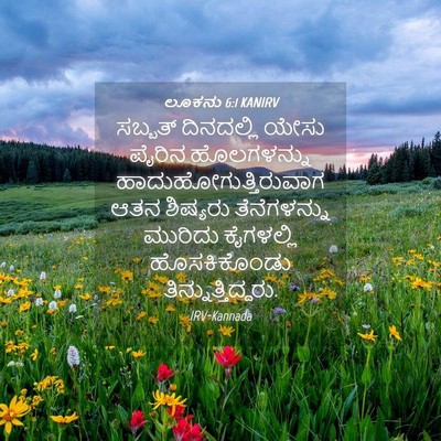 Picture 04 - ಲೂಕನು 6:1 KANIRV - ಸಬ್ಬತ್ ದಿನದಲ್ಲಿ - Bible Verse Picture