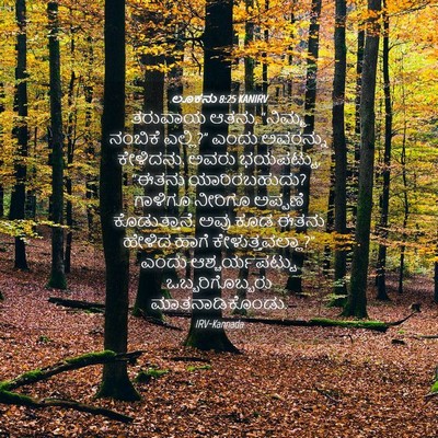 Picture 04 - ಲೂಕನು 8:25 KANIRV - ತರುವಾಯ ಆತನು, - Bible Verse Picture