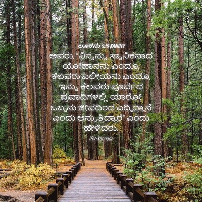 Picture 04 - ಲೂಕನು 9:19 KANIRV - ಅವರು, “ನಿನ್ನನ್ನು - Bible Verse Picture