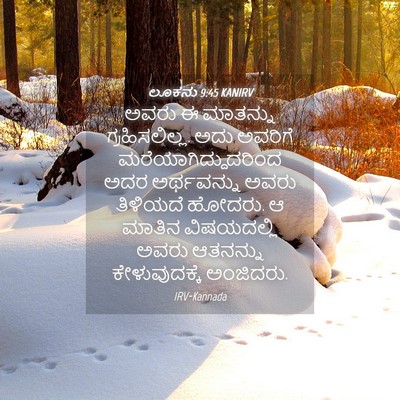 Picture 04 - ಲೂಕನು 9:45 KANIRV - ಅವರು ಈ ಮಾತನ್ನು - Bible Verse Picture