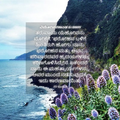 Picture 04 - ವಿಮೋಚನಕಾಂಡ 10:1 KANIRV - ತರುವಾಯ ಯೆಹೋವನು - Bible Verse Picture