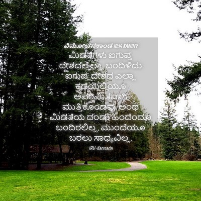 Picture 04 - ವಿಮೋಚನಕಾಂಡ 10:14 KANIRV - ಮಿಡತೆಗಳು ಐಗುಪ್ತ - Bible Verse Picture
