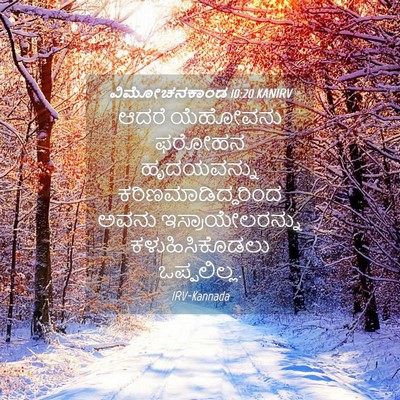 Picture 04 - ವಿಮೋಚನಕಾಂಡ 10:20 KANIRV - ಆದರೆ ಯೆಹೋವನು - Bible Verse Picture